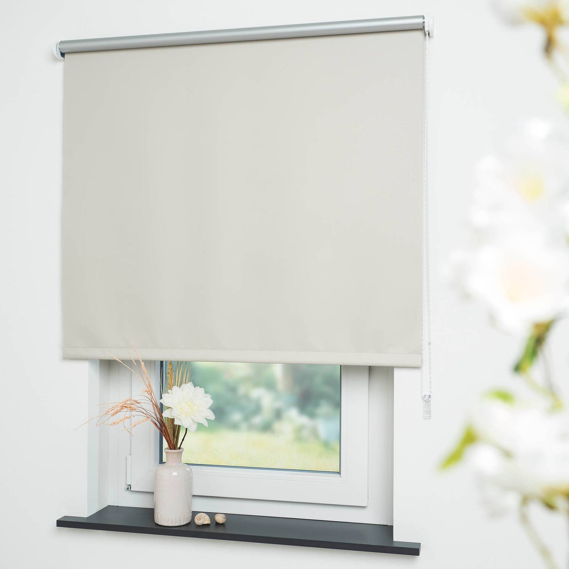 Liedeco Seitenzugrollo »Thermo-Rollo«, verdunkelnd, energiesparend Liedeco Seitenzugrollo »Thermo-Rollo«, verdunkelnd, energiesparend von LIEDECO