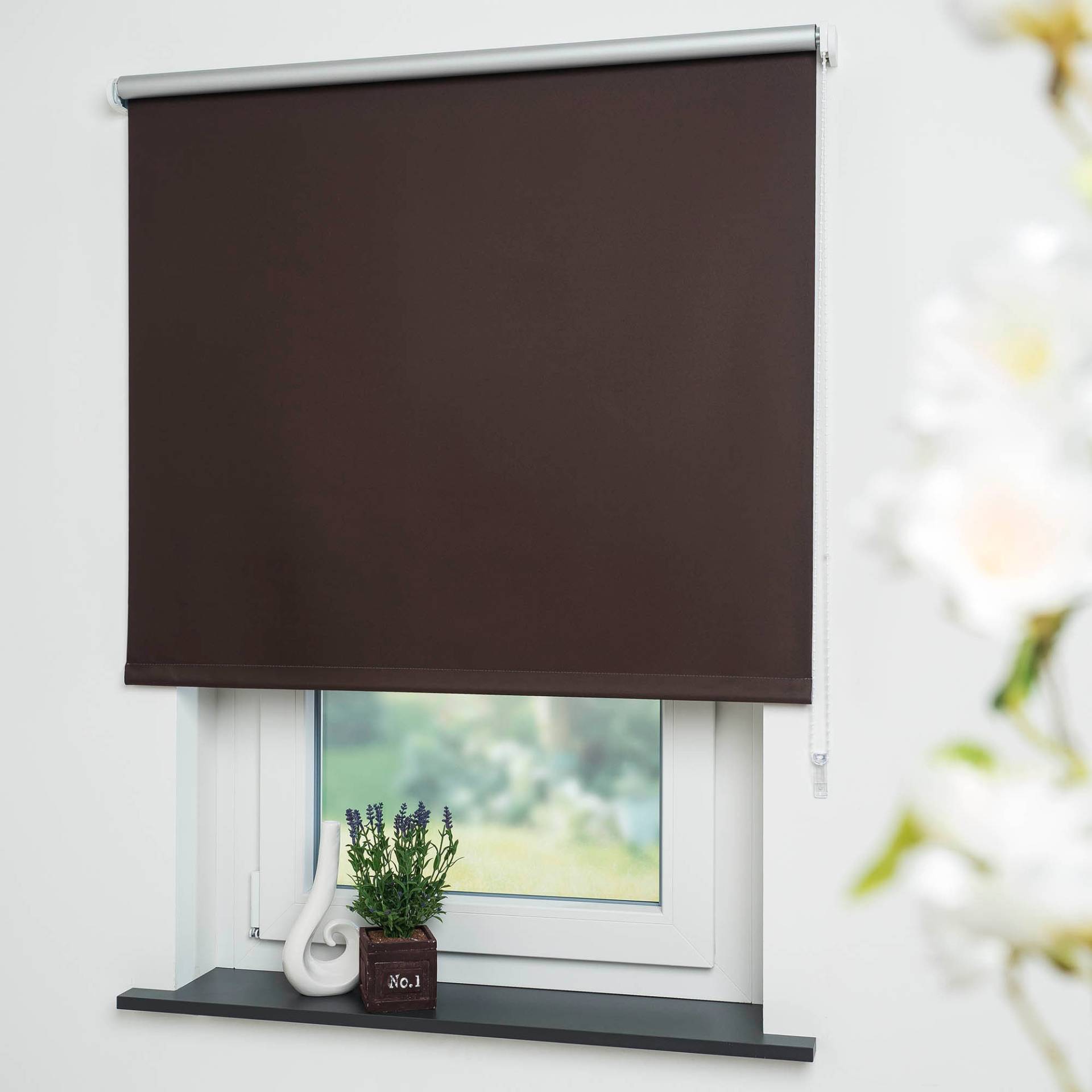 Liedeco Seitenzugrollo »Thermo-Rollo«, verdunkelnd, energiesparend Liedeco Seitenzugrollo »Thermo-Rollo«, verdunkelnd, energiesparend von LIEDECO