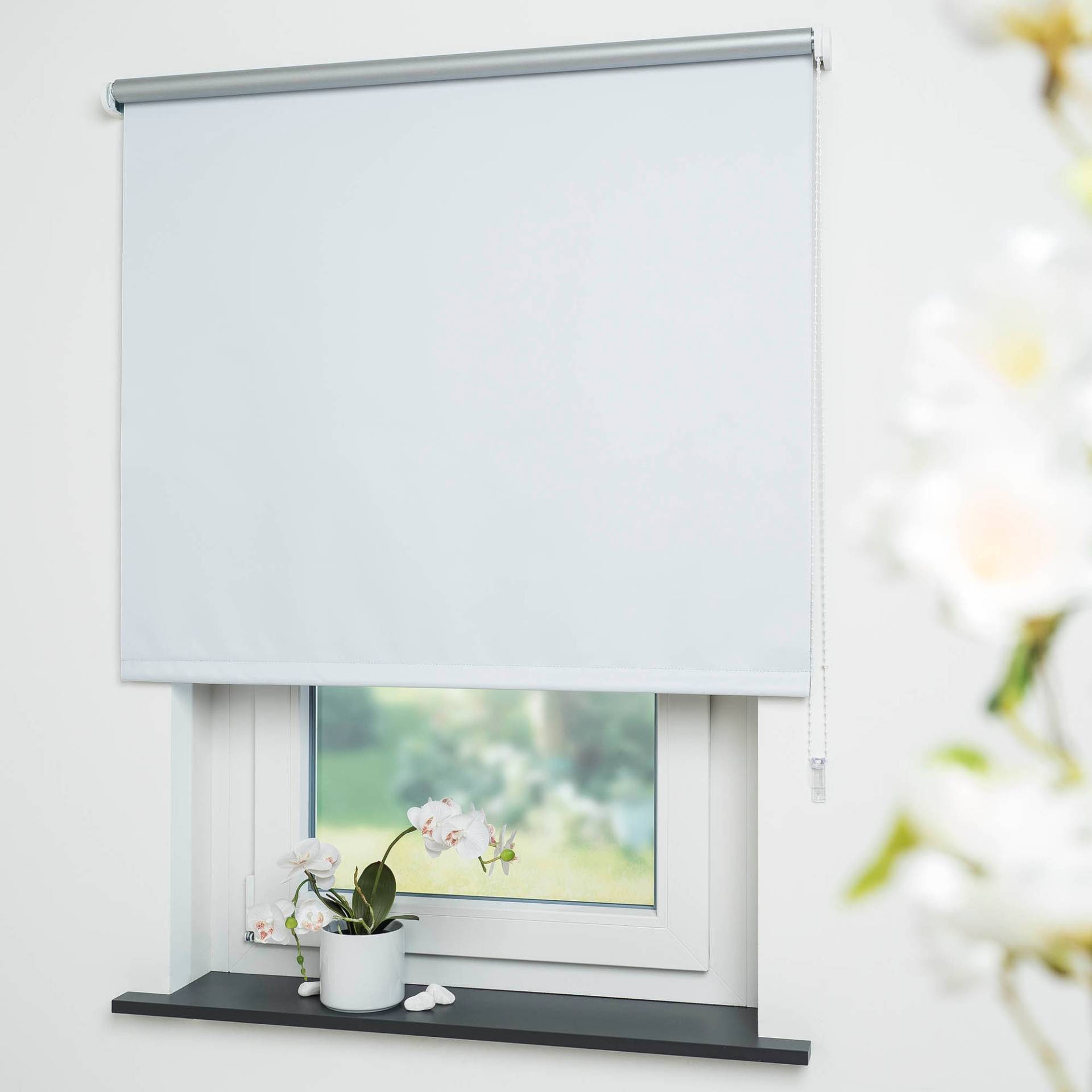Liedeco Seitenzugrollo »Thermo-Rollo«, verdunkelnd, energiesparend Liedeco Seitenzugrollo »Thermo-Rollo«, verdunkelnd, energiesparend von LIEDECO