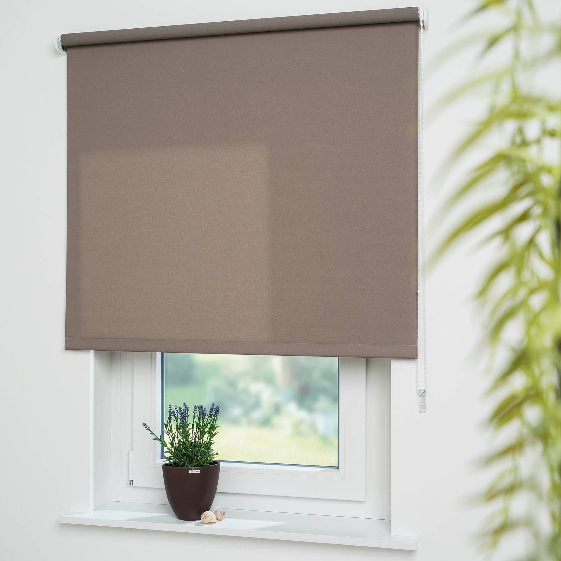 Liedeco Seitenzugrollo »Uni«, Lichtschutz, mit Bohren, freihängend, Montage ohne Bohren zum Klemmen mit separatem Klemmträger möglich Liedeco Seitenzugrollo »Uni«, Lichtschutz, mit Bohren, freihängend, Montage ohne Bohren zum Klemmen mit separatem Klemmträger möglich von LIEDECO