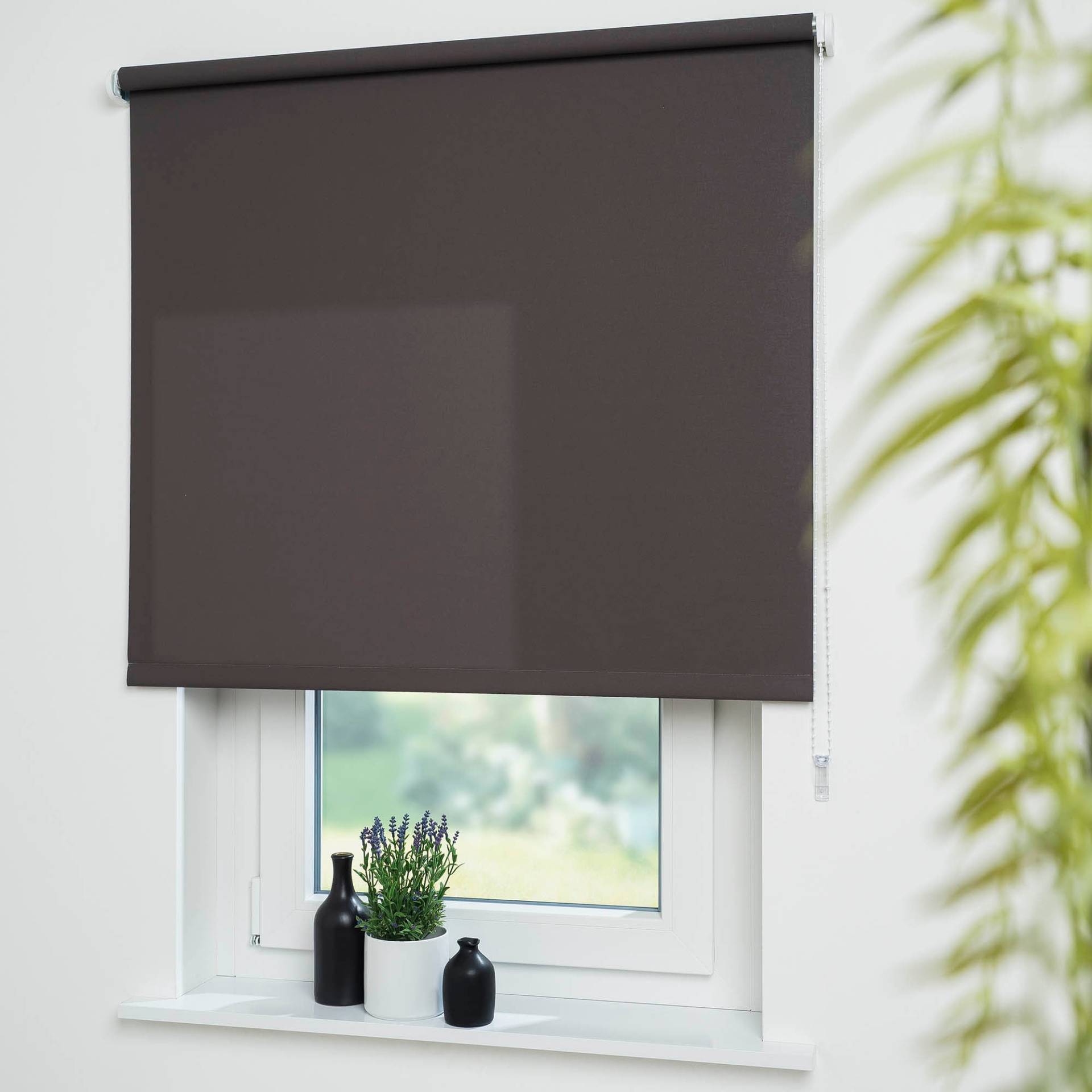 Liedeco Seitenzugrollo »Uni«, Lichtschutz, mit Bohren, freihängend, Montage ohne Bohren zum Klemmen mit separatem Klemmträger möglich Liedeco Seitenzugrollo »Uni«, Lichtschutz, mit Bohren, freihängend, Montage ohne Bohren zum Klemmen mit separatem Klemmträger möglich von LIEDECO