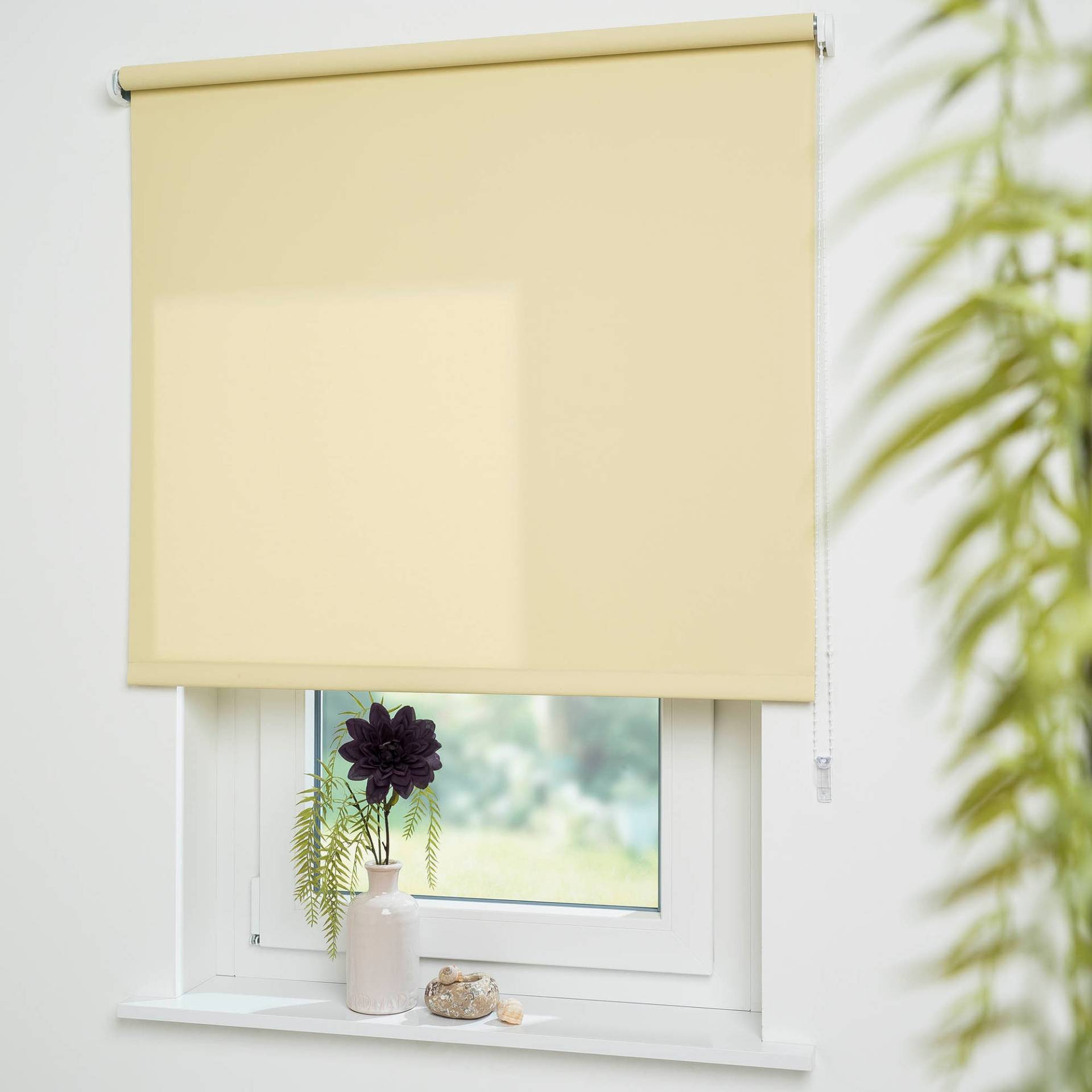 Liedeco Seitenzugrollo »Uni«, Lichtschutz, mit Bohren, freihängend, Montage ohne Bohren zum Klemmen mit separatem Klemmträger möglich Liedeco Seitenzugrollo »Uni«, Lichtschutz, mit Bohren, freihängend, Montage ohne Bohren zum Klemmen mit separatem Klemmträger möglich von LIEDECO