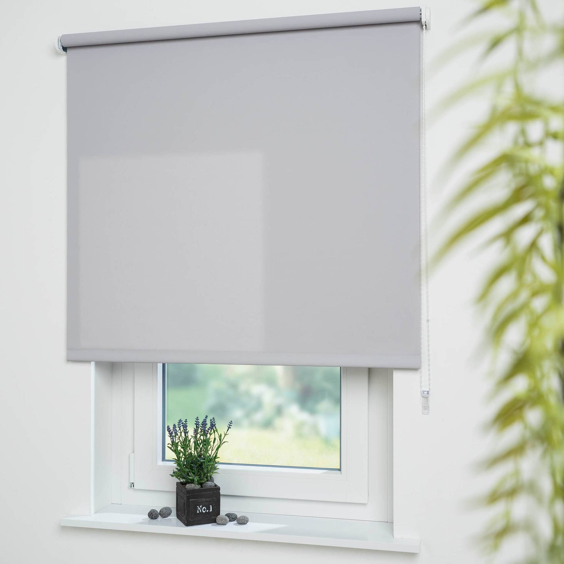 Liedeco Seitenzugrollo »Uni«, Lichtschutz, mit Bohren, freihängend, Montage ohne Bohren zum Klemmen mit separatem Klemmträger möglich Liedeco Seitenzugrollo »Uni«, Lichtschutz, mit Bohren, freihängend, Montage ohne Bohren zum Klemmen mit separatem Klemmträger möglich von LIEDECO