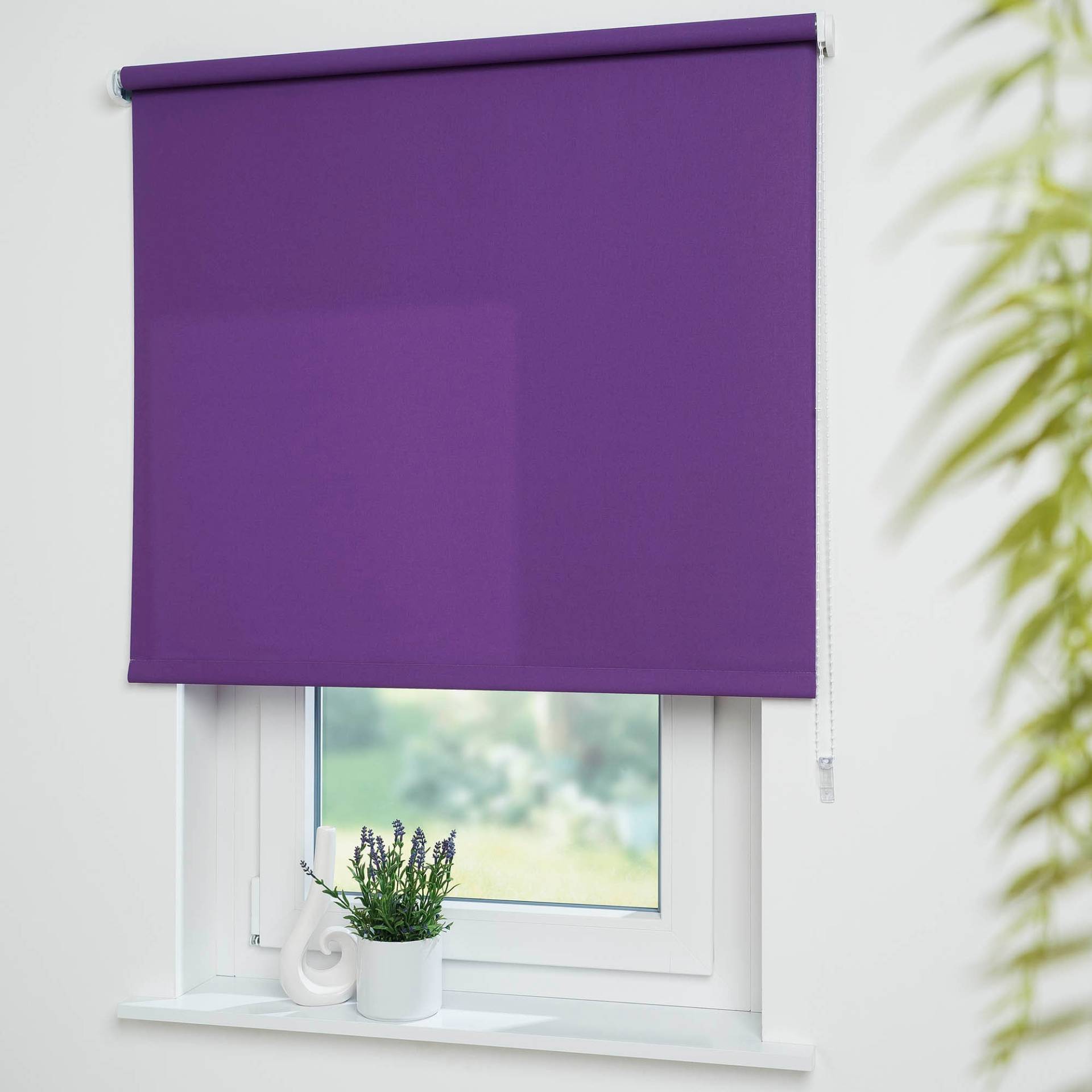 Liedeco Seitenzugrollo »Uni«, Lichtschutz, mit Bohren, freihängend, Montage ohne Bohren zum Klemmen mit separatem Klemmträger möglich Liedeco Seitenzugrollo »Uni«, Lichtschutz, mit Bohren, freihängend, Montage ohne Bohren zum Klemmen mit separatem Klemmträger möglich von LIEDECO