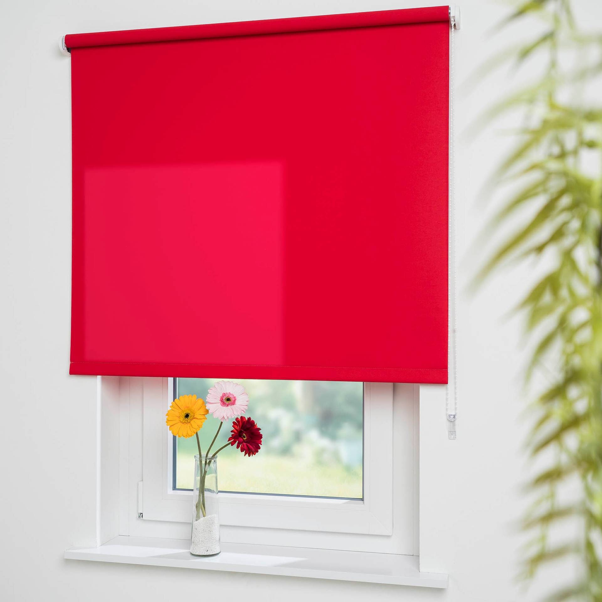 Liedeco Seitenzugrollo »Uni«, Lichtschutz, mit Bohren, freihängend, Montage ohne Bohren zum Klemmen mit separatem Klemmträger möglich Liedeco Seitenzugrollo »Uni«, Lichtschutz, mit Bohren, freihängend, Montage ohne Bohren zum Klemmen mit separatem Klemmträger möglich von LIEDECO