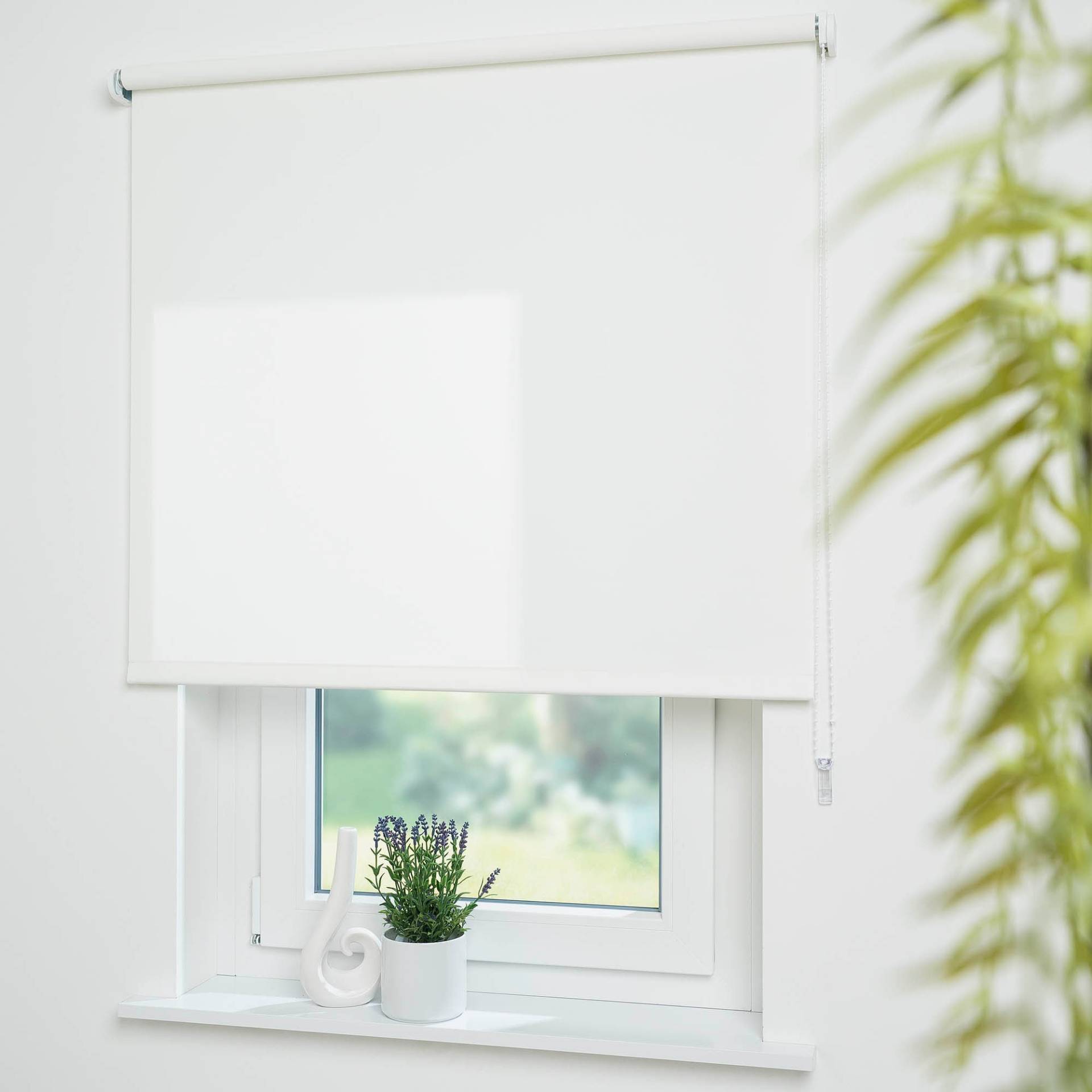 Liedeco Seitenzugrollo »Uni«, Lichtschutz, mit Bohren, freihängend, Montage ohne Bohren zum Klemmen mit separatem Klemmträger möglich Liedeco Seitenzugrollo »Uni«, Lichtschutz, mit Bohren, freihängend, Montage ohne Bohren zum Klemmen mit separatem Klemmträger möglich von LIEDECO