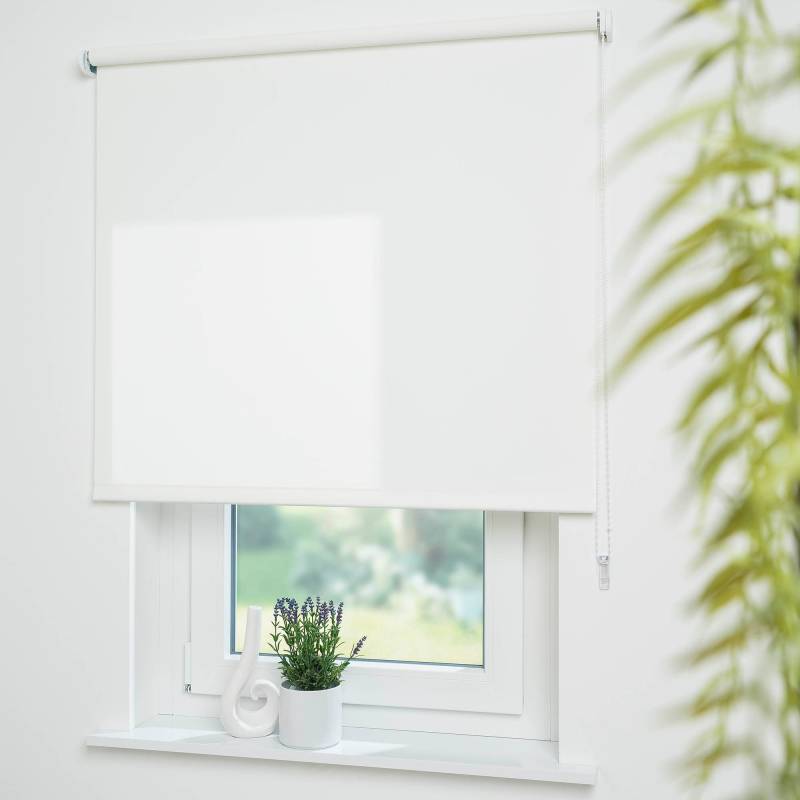 Liedeco Seitenzugrollo »Uni«, Lichtschutz, mit Bohren, freihängend, Montage ohne Bohren zum Klemmen mit separatem Klemmträger möglich Liedeco Seitenzugrollo »Uni«, Lichtschutz, mit Bohren, freihängend, Montage ohne Bohren zum Klemmen mit separatem Klemmträger möglich von LIEDECO