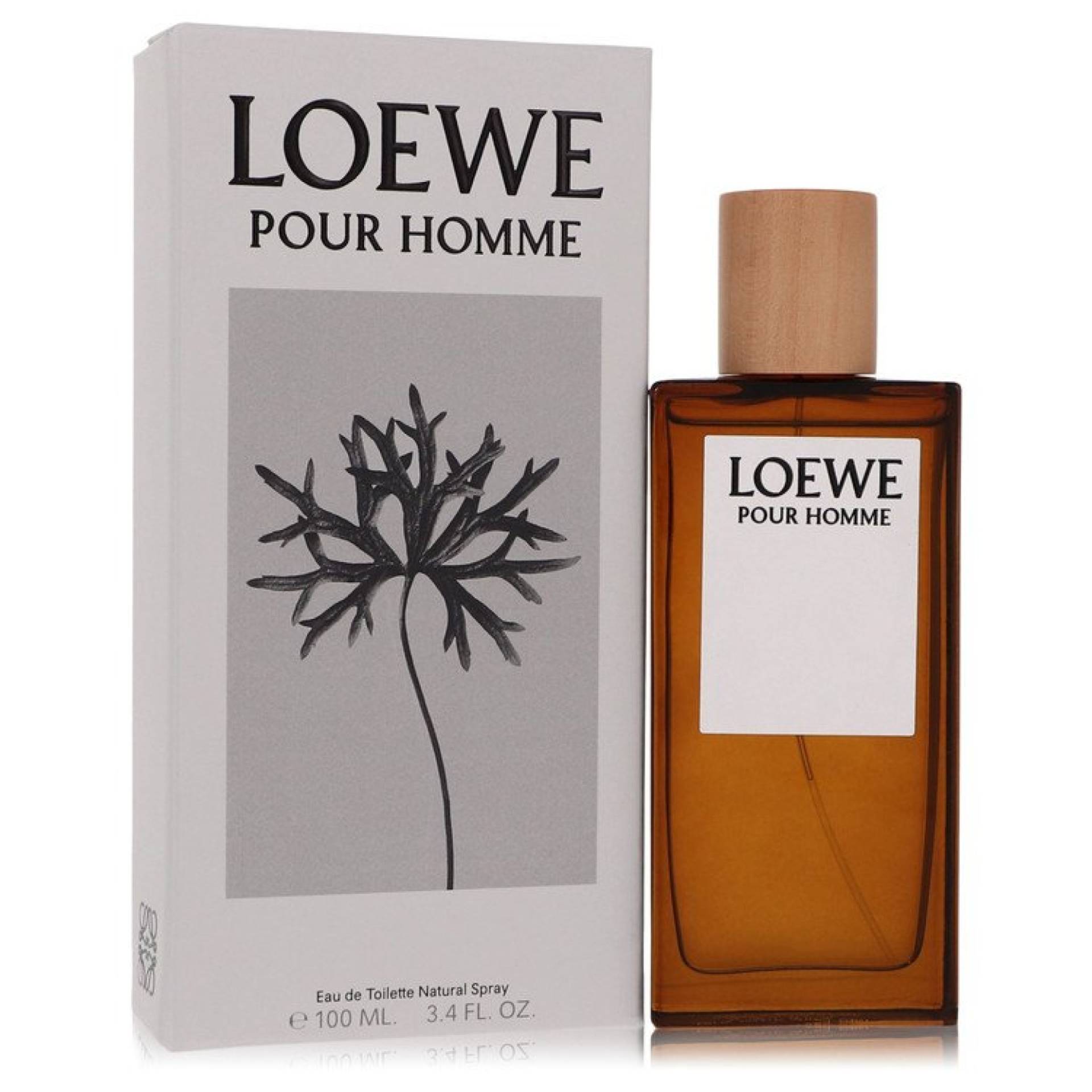 Loewe Pour Homme Eau De Toilette Spray 100 ml von Loewe