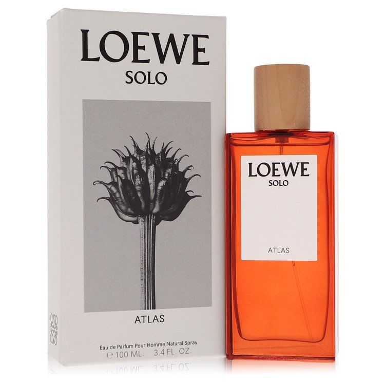 Solo Atlas by Loewe Eau de Parfum 100ml von Loewe