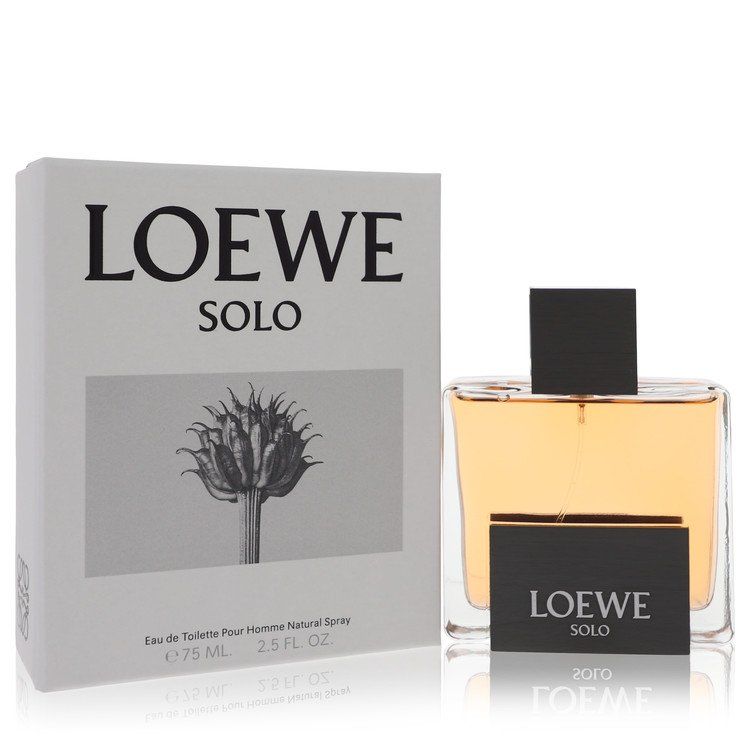 Loewe Solo Eau de Toilette 100ml von Loewe