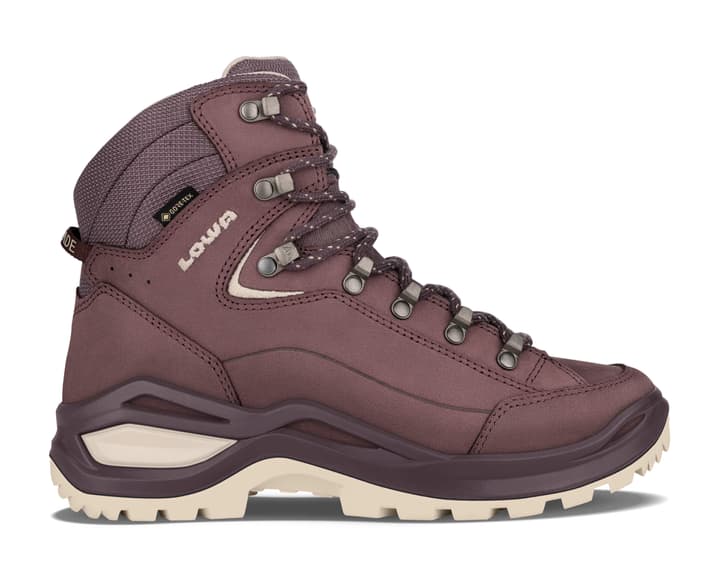 Lowa Renegade EVO GTX MID W Wanderschuhe aubergine von Lowa