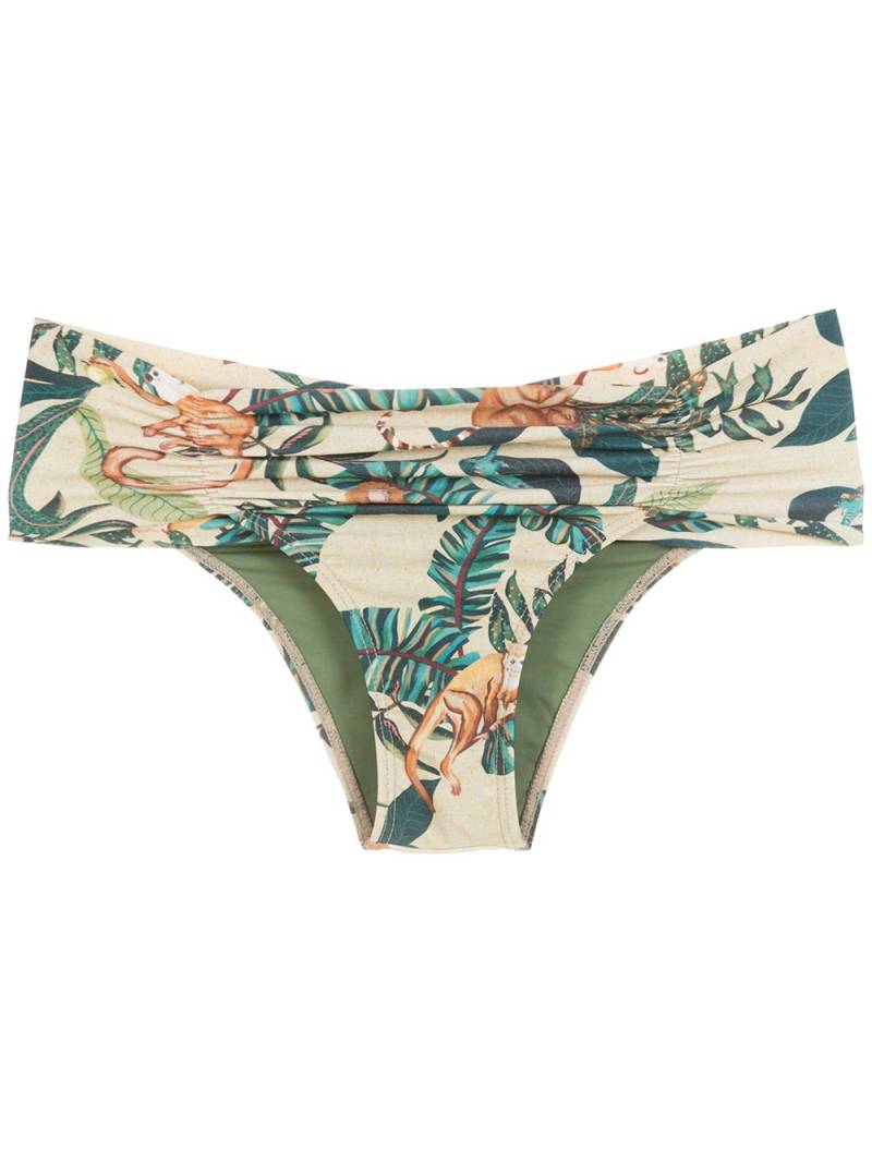 Lygia & Nanny Calça Jasper estampada bikini bottoms - Green von Lygia & Nanny