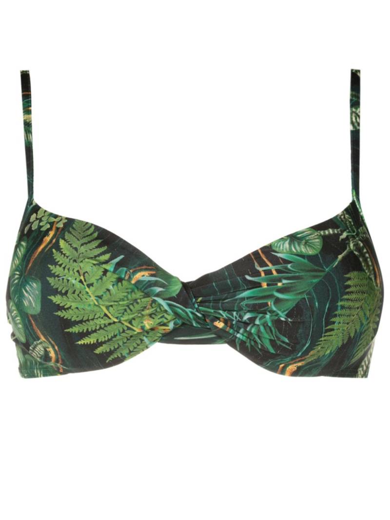 Lygia & Nanny Cassis leaf-print bikini top - Green von Lygia & Nanny