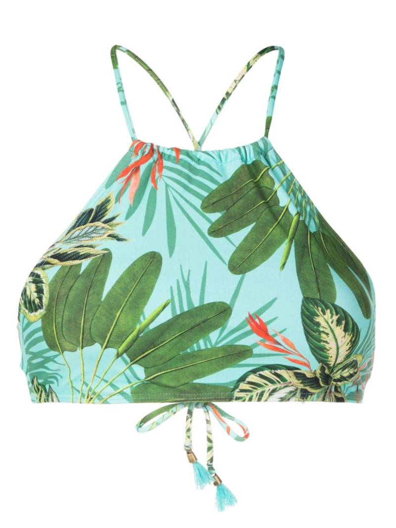 Lygia & Nanny Ilana floral-print bikini top - Green von Lygia & Nanny