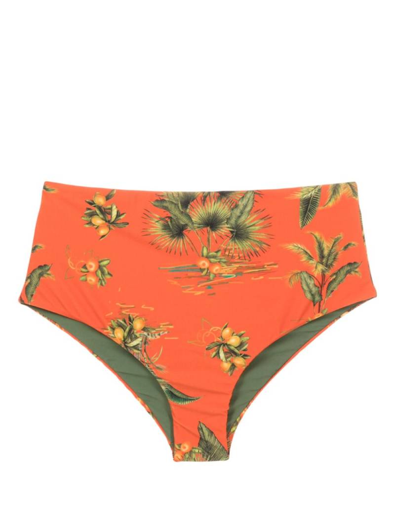 Lygia & Nanny Violeta botanical-print bikini bottoms - Orange von Lygia & Nanny