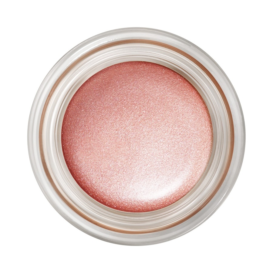 MAC  MAC Pro Longwear Paint Pot lidschatten 5.0 g von MAC