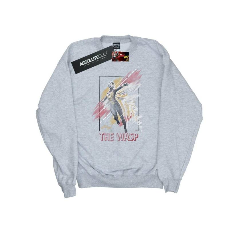 Antman And The Wasp Framed Wasp Sweatshirt Damen Grau XL von MARVEL