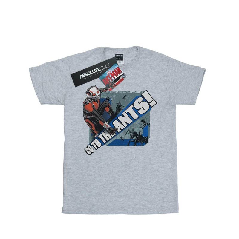 Antman Go To The Ants Tshirt Herren Grau L von MARVEL