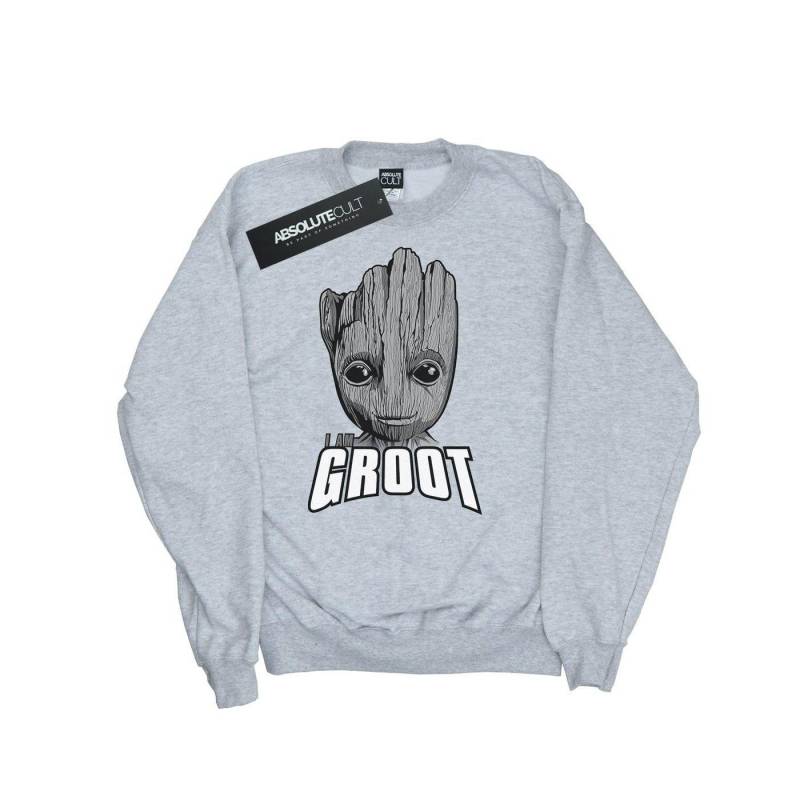 Guardians Of The Galaxy Groot Face Sweatshirt Damen Grau M von MARVEL