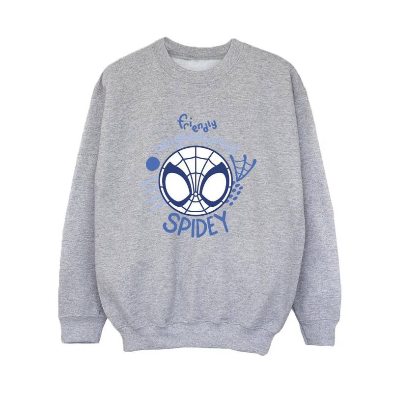 Spidey And His Amazing Friends Neighbourhood Sweatshirt Jungen Grau 116 von MARVEL