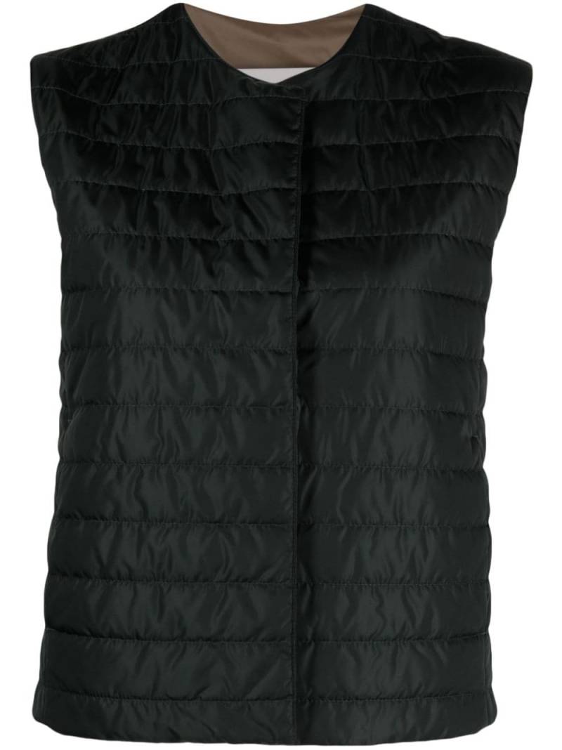 Mackintosh Isabel padded gilet - Green von Mackintosh