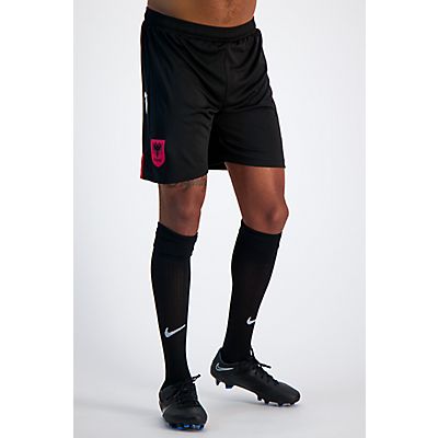 Albanien Home Replica Herren Short EM 2024 von Macron