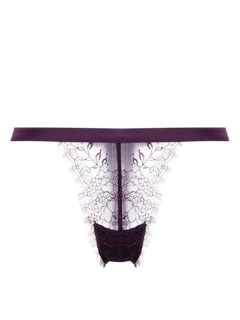 Maison Close semi-sheer lace thong - Purple von Maison Close