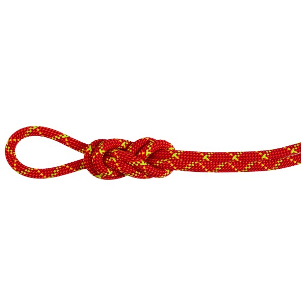 Mammut - 8.0 Alpine Core Protect Dry Rope - Halbseil Gr 30 m rot/weiß von Mammut