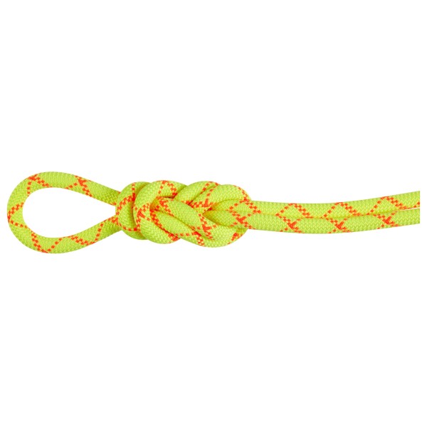 Mammut - 9.5 Alpine Core Protect Dry Rope - Einfachseil Gr 40 m;60 m gelb von Mammut