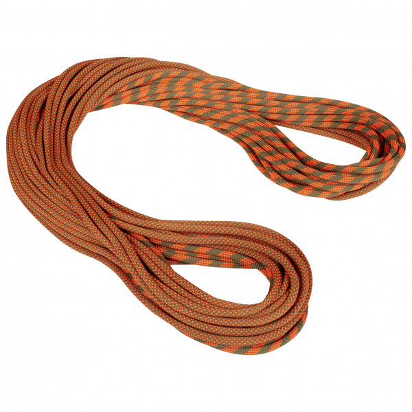 Mammut - 9.5 Crag Dry Rope - Einfachseil Gr 60 m braun von Mammut