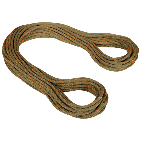 Mammut - 9.9 Gym Workhorse Classic Rope - Einfachseil Gr 40 m braun von Mammut