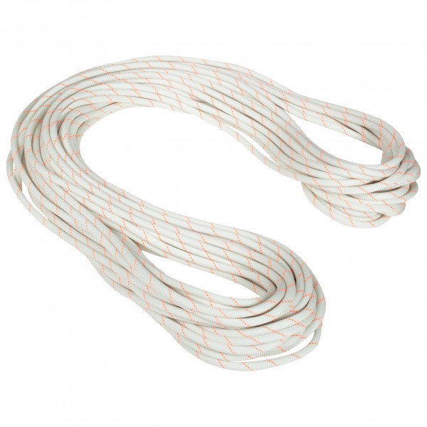 Mammut - 9.9 Gym Workhorse Dry Rope - Einfachseil Gr 30 m;40 m;50 m braun von Mammut