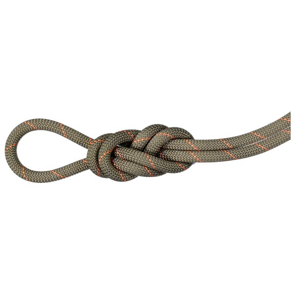 Mammut - 9.9 Gym Workhorse Dry Rope - Einfachseil Gr 30 m braun von Mammut