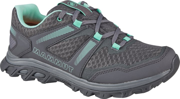 Mammut Girun Low GTX Multifunktionsschuhe grau von Mammut