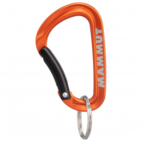 Mammut - Mammut Mini Carabiner Classic - Materialkarabiner Gr Small grau;türkis Mammut - Mammut Mini Carabiner Classic - Materialkarabiner Gr Small grau;türkis von Mammut