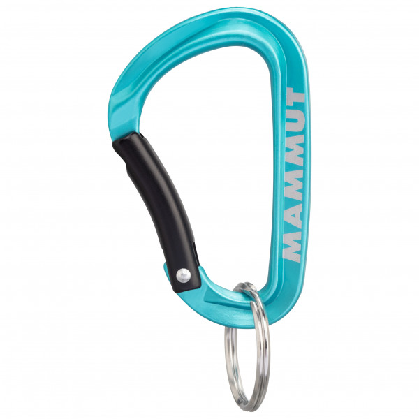 Mammut - Mammut Mini Carabiner Classic - Materialkarabiner Gr Small türkis von Mammut