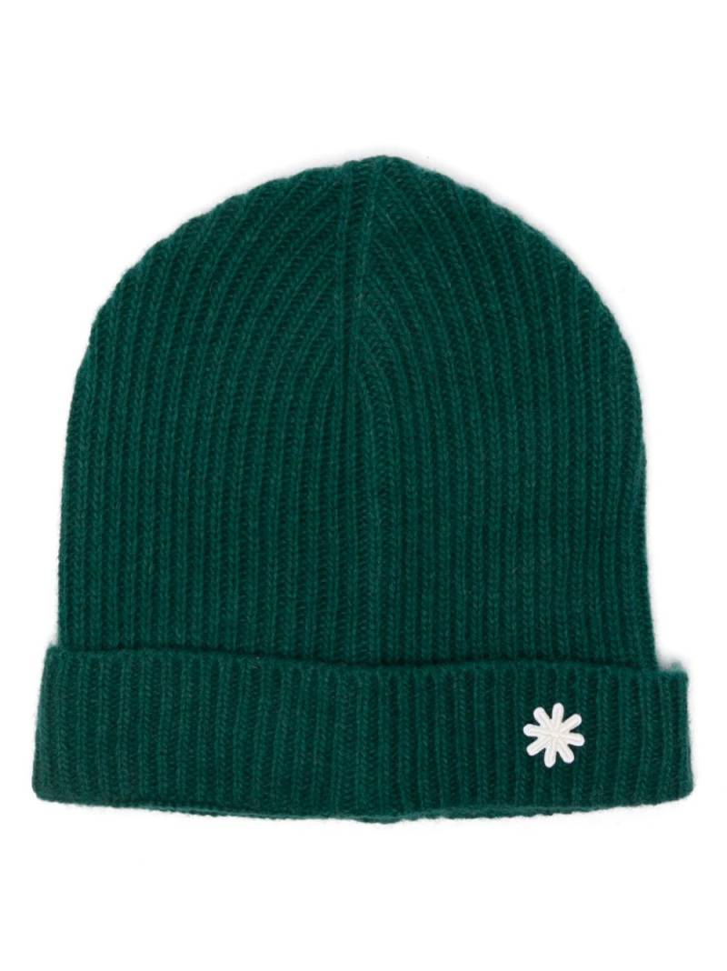 Manuel Ritz ribbed-kni beanie - Green von Manuel Ritz