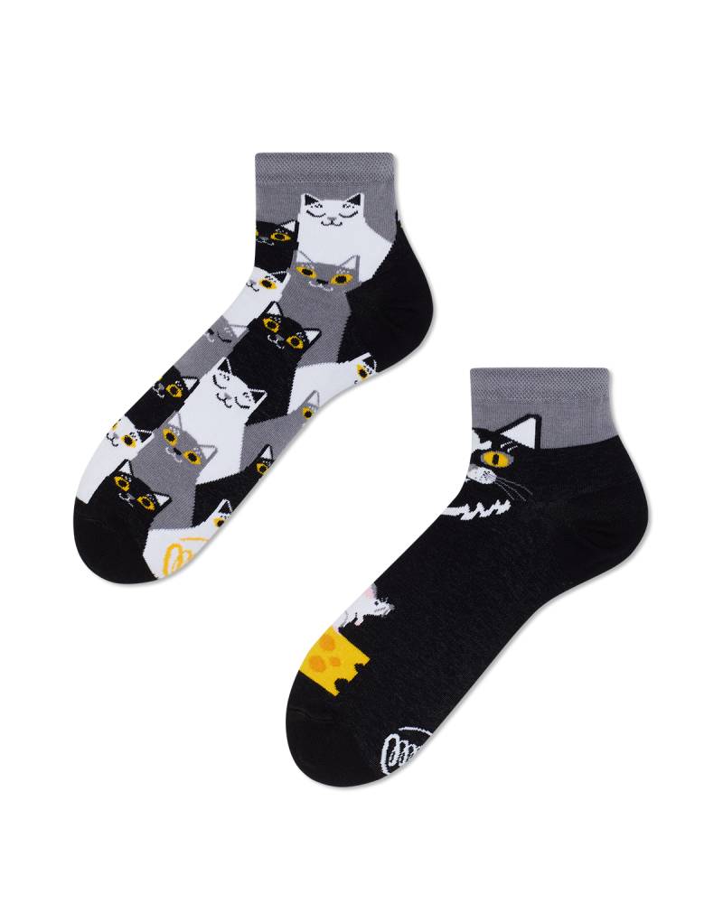 Black Cat Quartersocks - Herren Multicolor 35-38 von Many Mornings