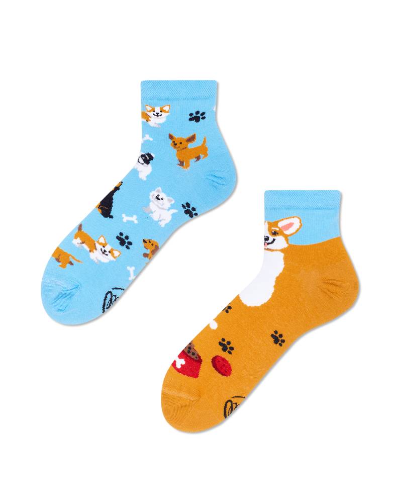 Playful Dog Quartersocks - Herren Multicolor 39-42 von Many Mornings