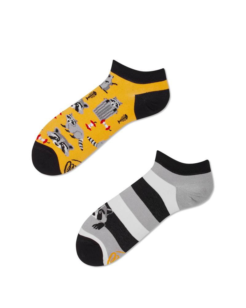 Raccoon Bandit Sneakersocks - Herren Multicolor 35-38 von Many Mornings