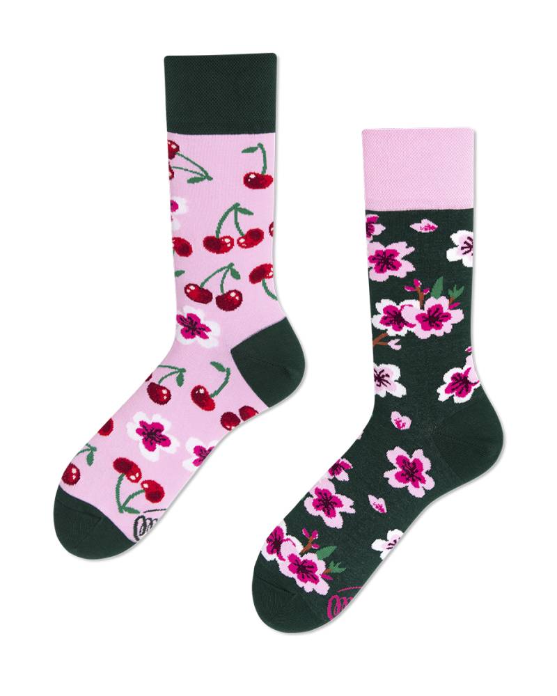 Cherry Blossom Socks - Herren Multicolor 35-38 von Many Mornings