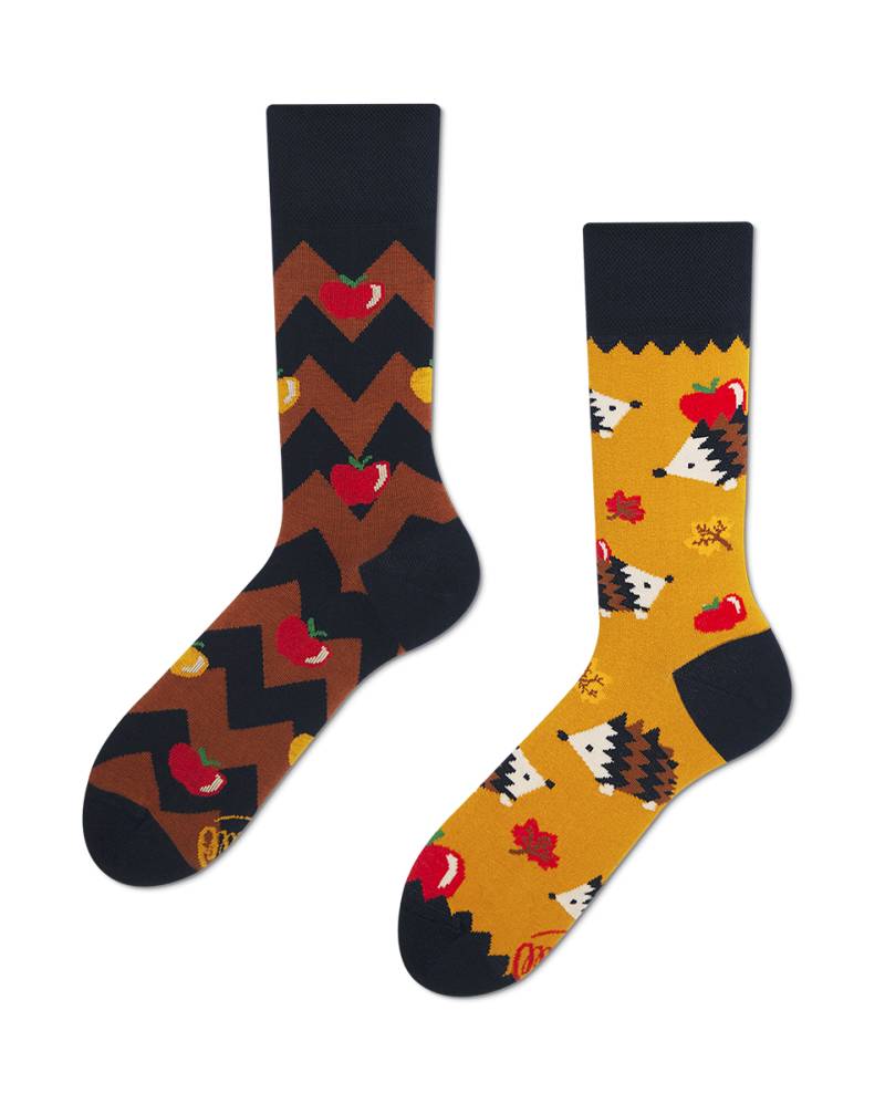 Apple Hedgehog Socks - Herren Multicolor 35-38 von Many Mornings