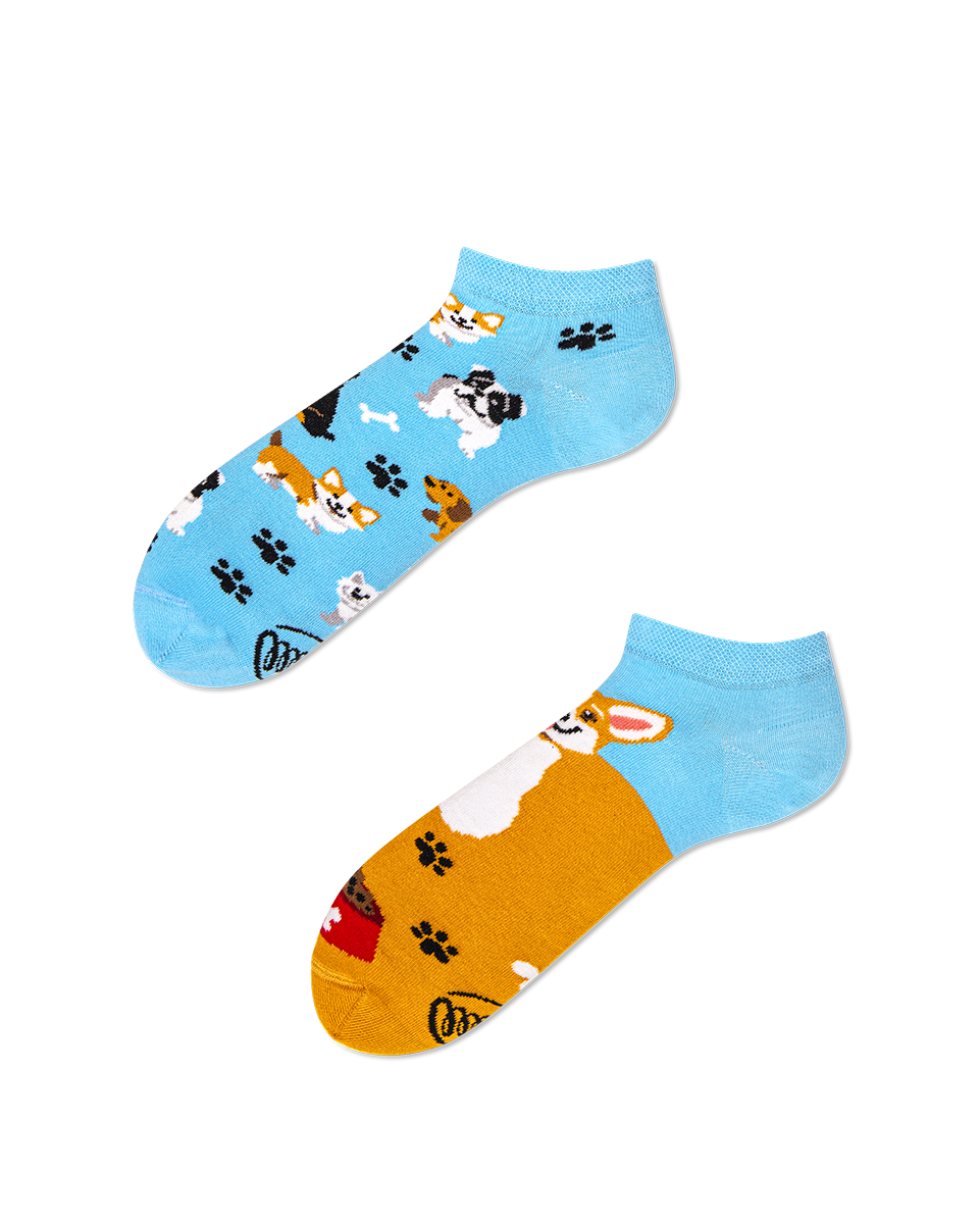 Playful Dog Sneakersocks - Herren Multicolor 35-38 von Many Mornings