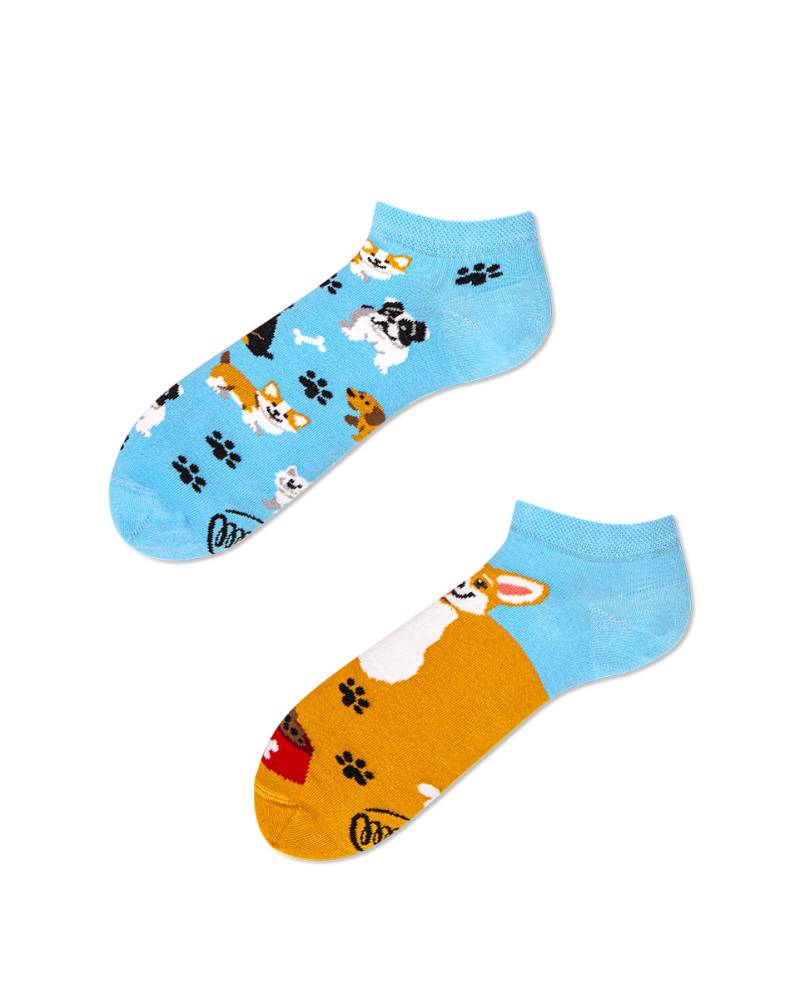 Playful Dog Sneakersocks - Herren Multicolor 35-38 von Many Mornings