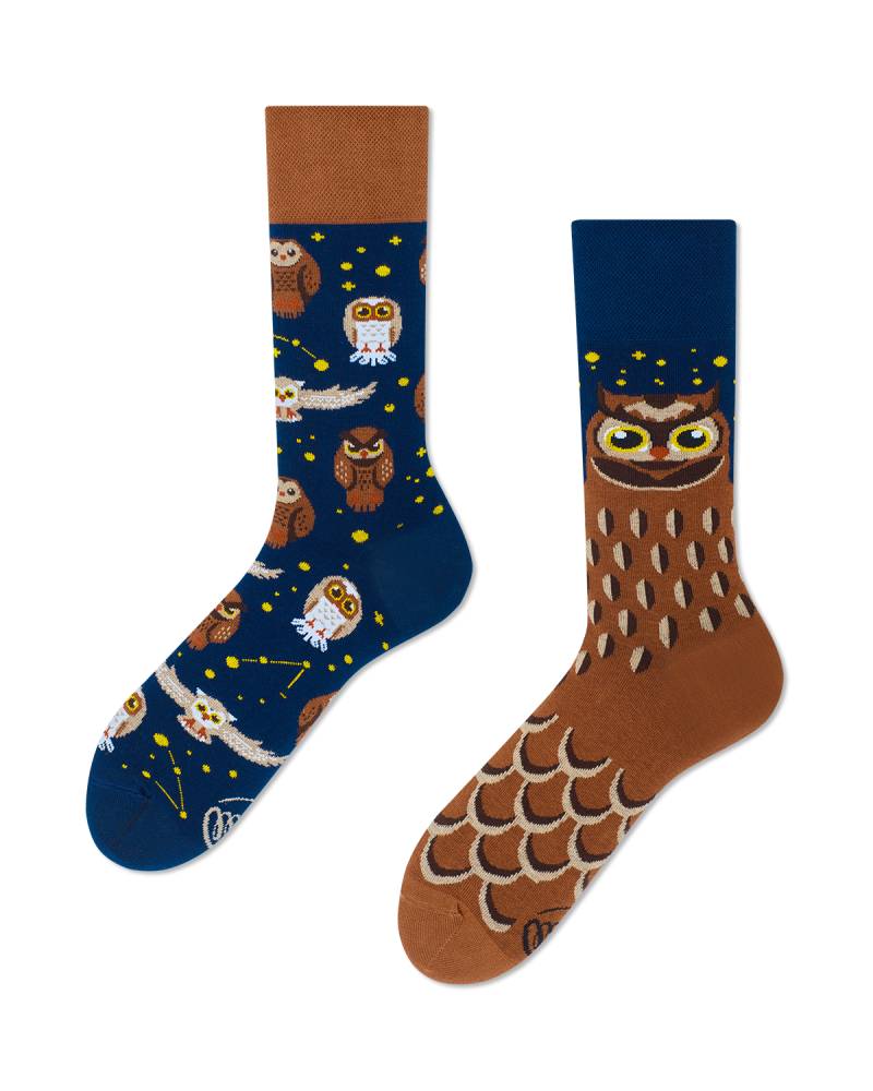 Owly Moly Socks - Herren Multicolor 35-38 von Many Mornings