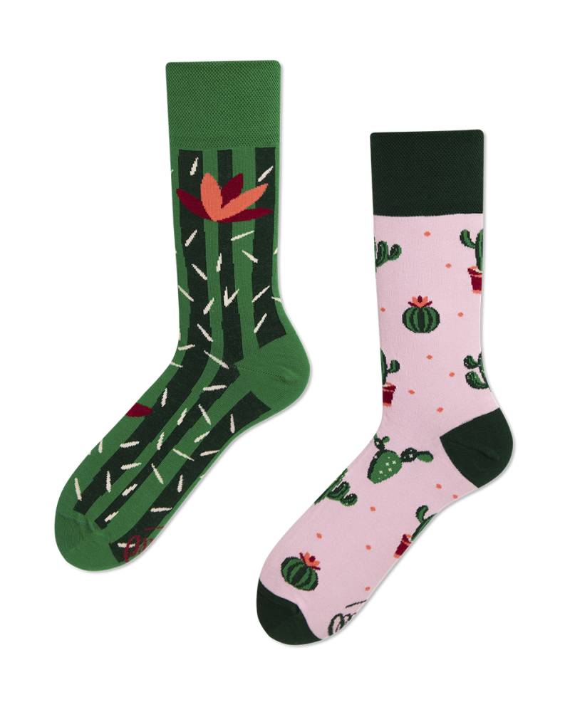 Summer Cactus Socks - Herren Multicolor 39-42 von Many Mornings