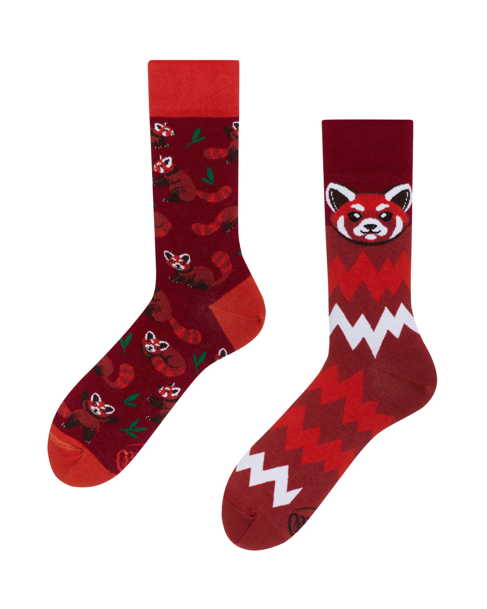 Red Panda Socks - Herren Multicolor 43-46 von Many Mornings