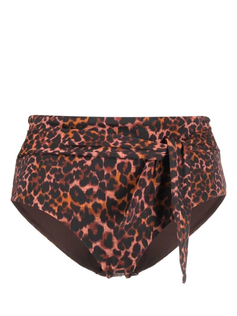 Marlies Dekkers Jungle diva bikini bottoms - Brown von Marlies Dekkers