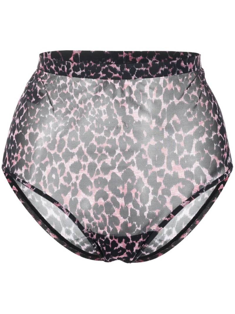 Marlies Dekkers sheer leopard-print briefs - Pink von Marlies Dekkers