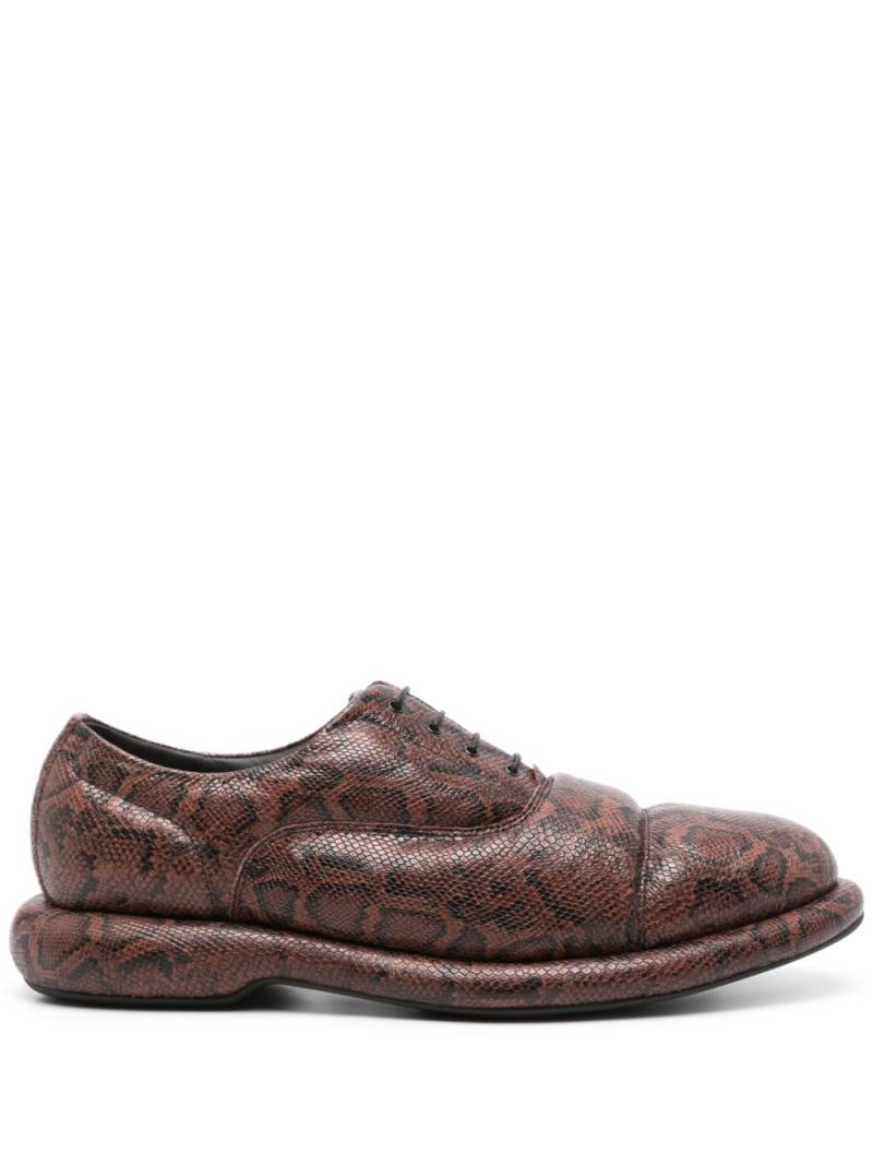 Martine Rose x Clarks snakeskin-effect oxford shoes - Brown von Martine Rose